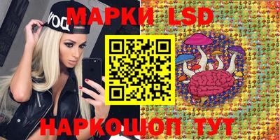 твердый Бердск
