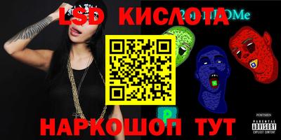 твердый Бердск