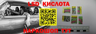 твердый Бердск