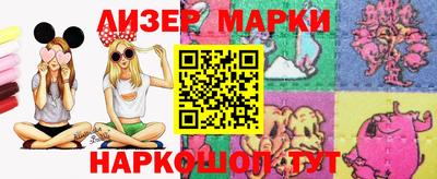 твердый Бердск