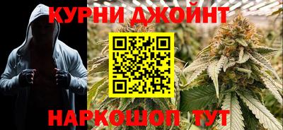 твердый Бердск
