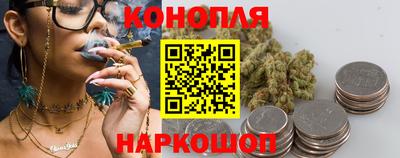 твердый Бердск