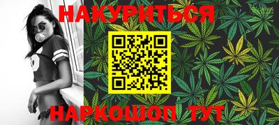 твердый Бердск